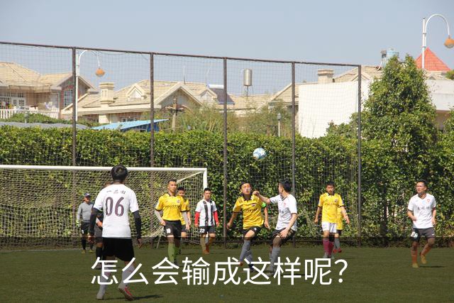 怎么会输成这样呢？